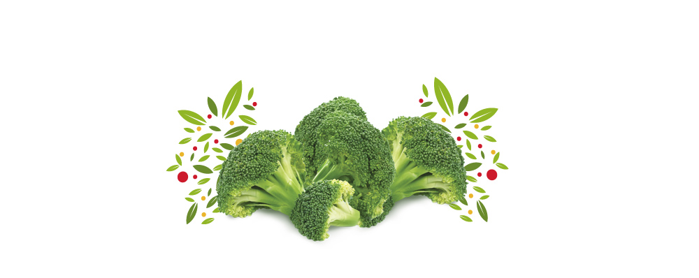 brokuły broccoli